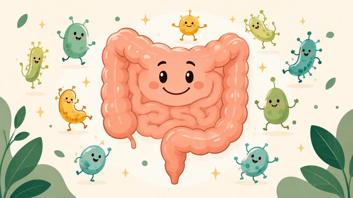 Darmgesundheit – dein zweites Gehirn | Vitaluma® Ratgeber - Vitaluma®
