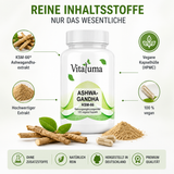 Vitaluma Ashwagandha KSM-66 mit veganer Kapselhülle und hochwertigem Ashwagandhaextrakt im Überblick
