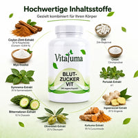 Vitaluma Blutzucker VIT mit Ceylon-Zimt, Gymnema, Bittermelone, Chrom und Zink in Premiumqualität