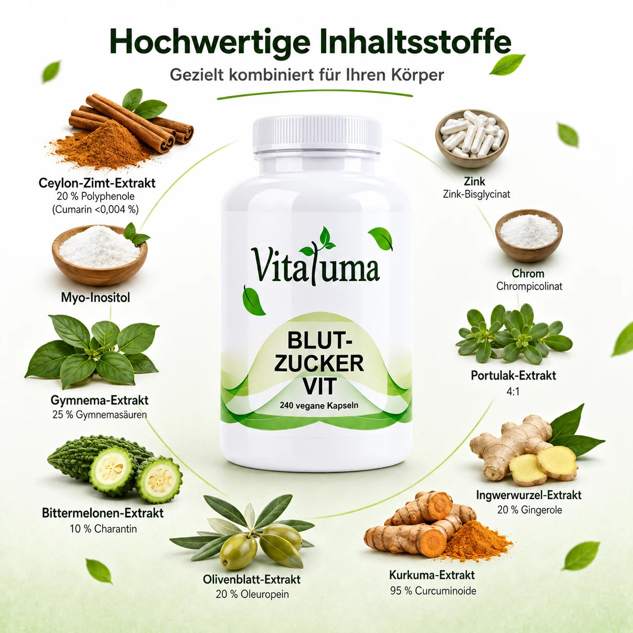Vitaluma Blutzucker VIT mit Ceylon-Zimt, Gymnema, Bittermelone, Chrom und Zink in Premiumqualität