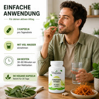 Vitaluma Cordyceps Extrakt mit Anwendungsempfehlung für die tägliche Einnahme von veganen Kapseln