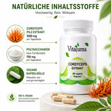 Vitaluma Cordyceps Extrakt mit Darstellung von Cordyceps Pilzextrakt und Polysacchariden als Inhaltsstoffe