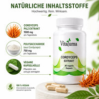 Vitaluma Cordyceps Extrakt mit Darstellung von Cordyceps Pilzextrakt und Polysacchariden als Inhaltsstoffe