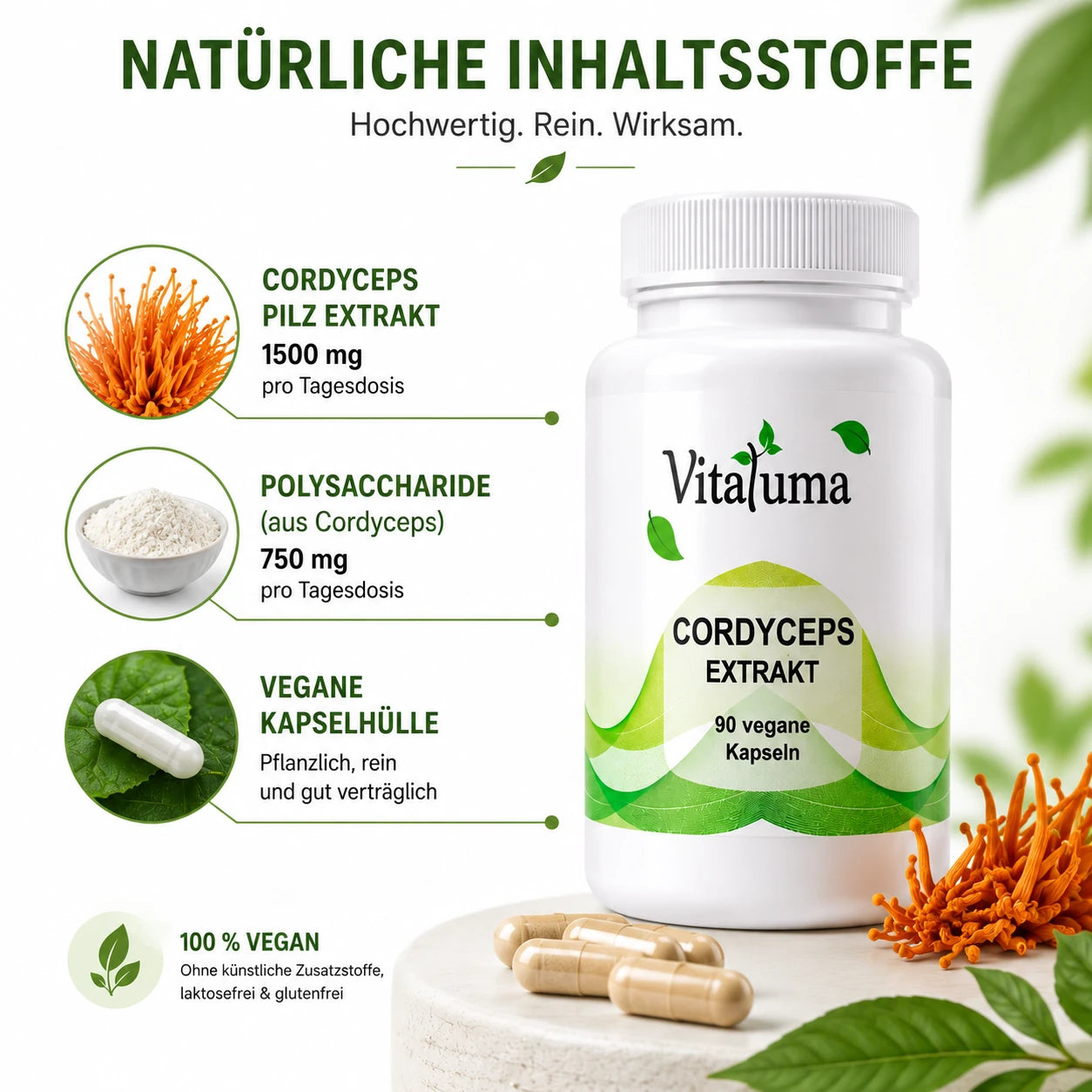 Vitaluma Cordyceps Extrakt mit Darstellung von Cordyceps Pilzextrakt und Polysacchariden als Inhaltsstoffe