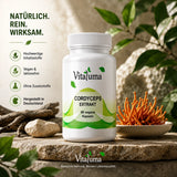 Vitaluma Cordyceps Extrakt in hochwertiger Naturkulisse als Premium Nahrungsergänzungsmittel mit Pilzextrakt