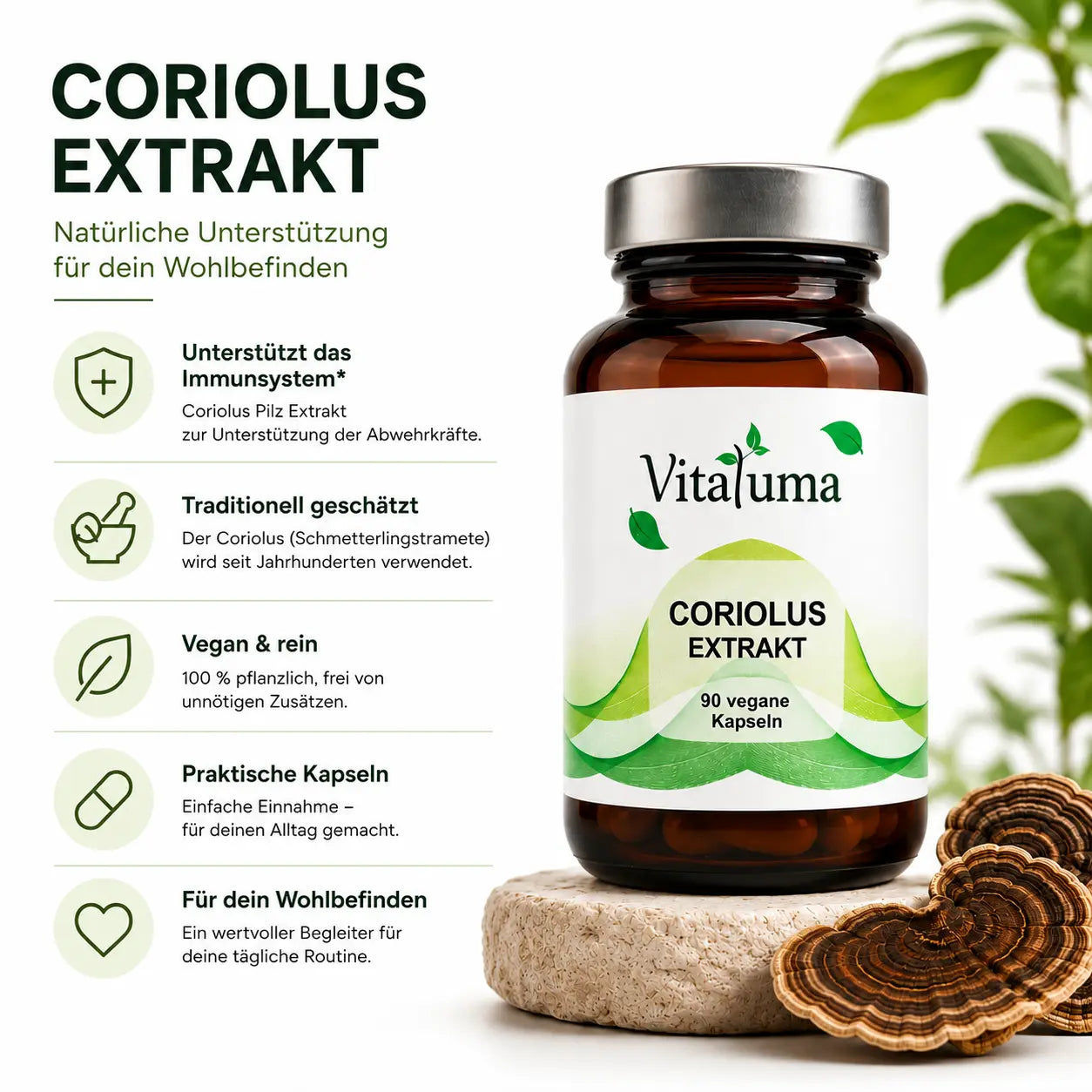 Coriolus Extrakt - 90 Kapseln