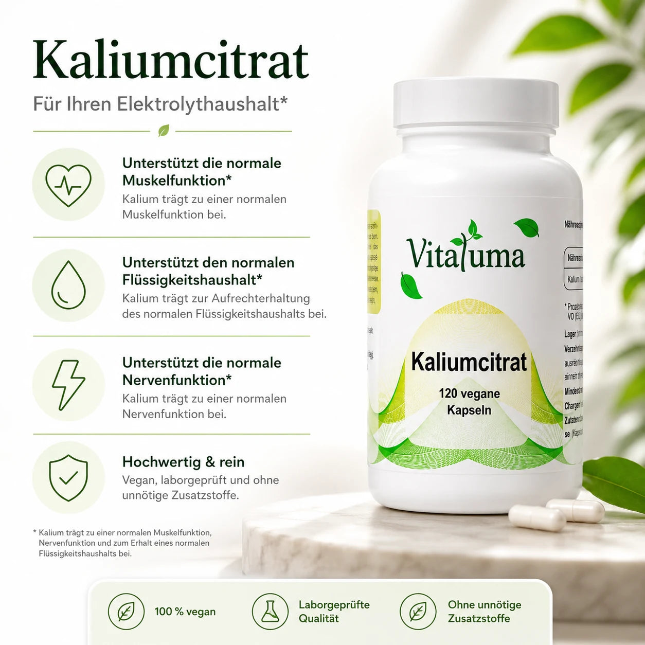 Kaliumcitrat – 120 vegane Kapseln