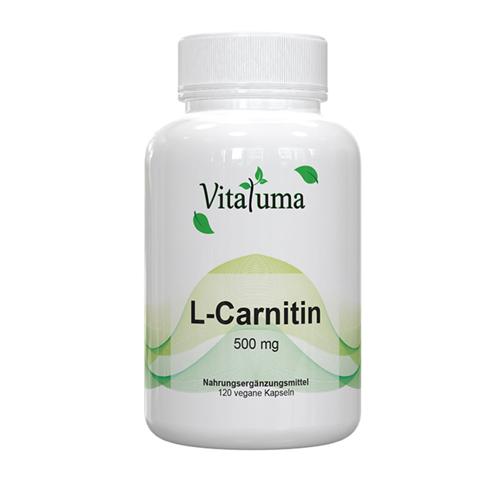 L-Carnitin - 120 Kapseln