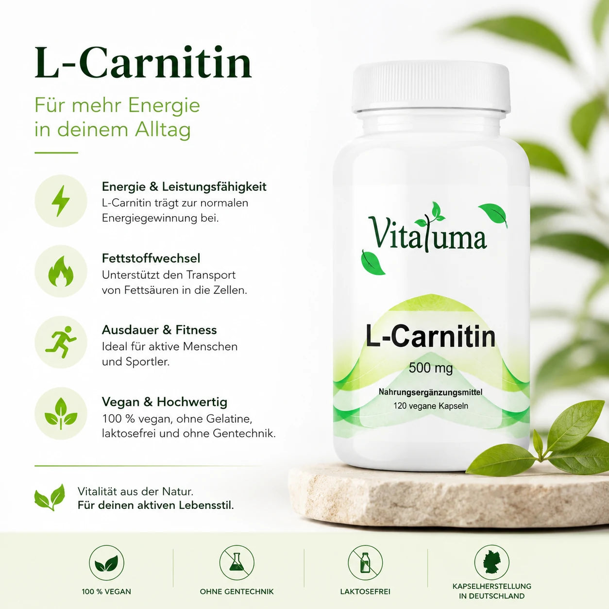 L-Carnitin - 120 Kapseln