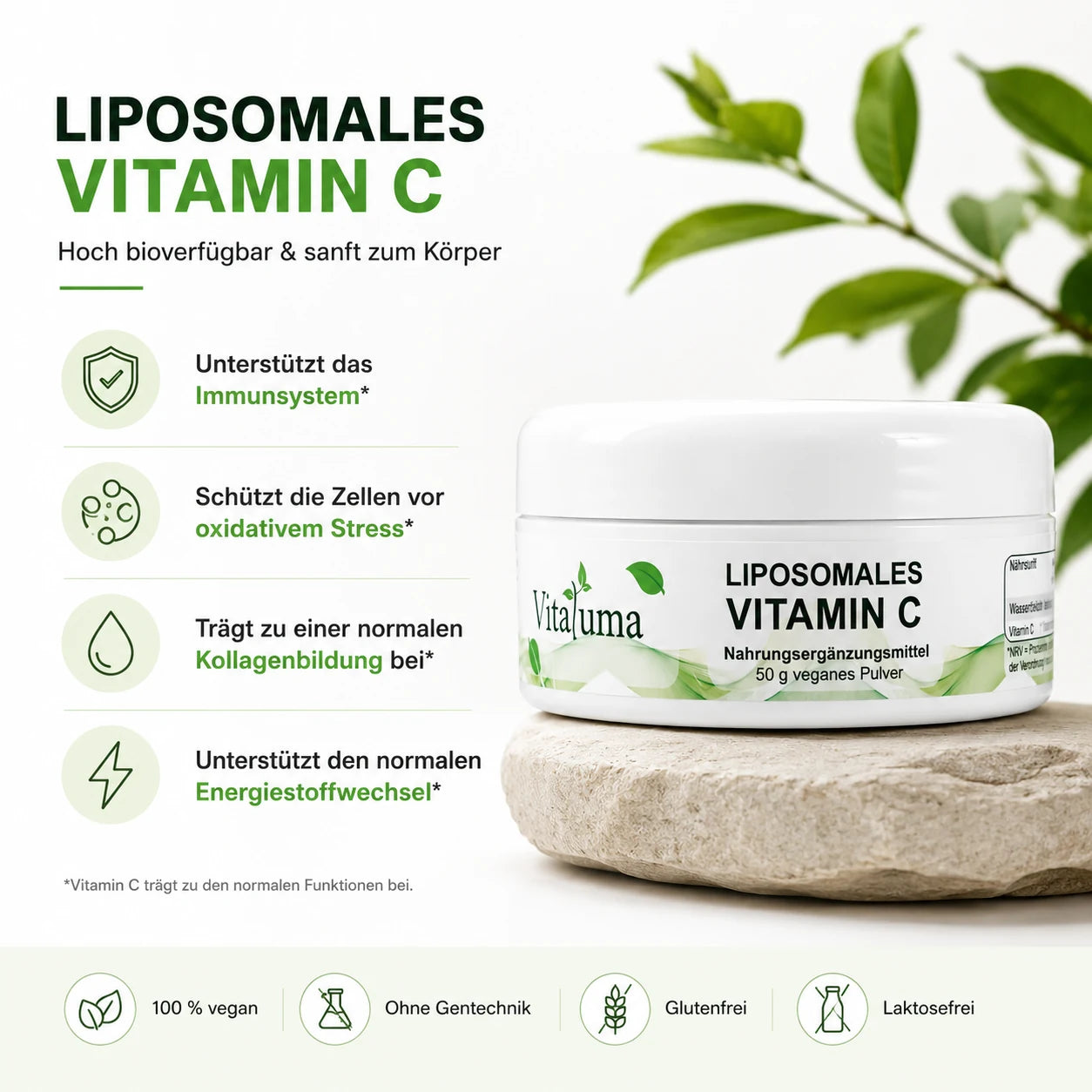 Liposomales Vitamin C - 50 g Pulver