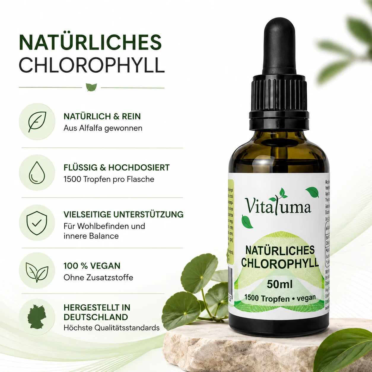 Natürliches Chlorophyll 50 ml