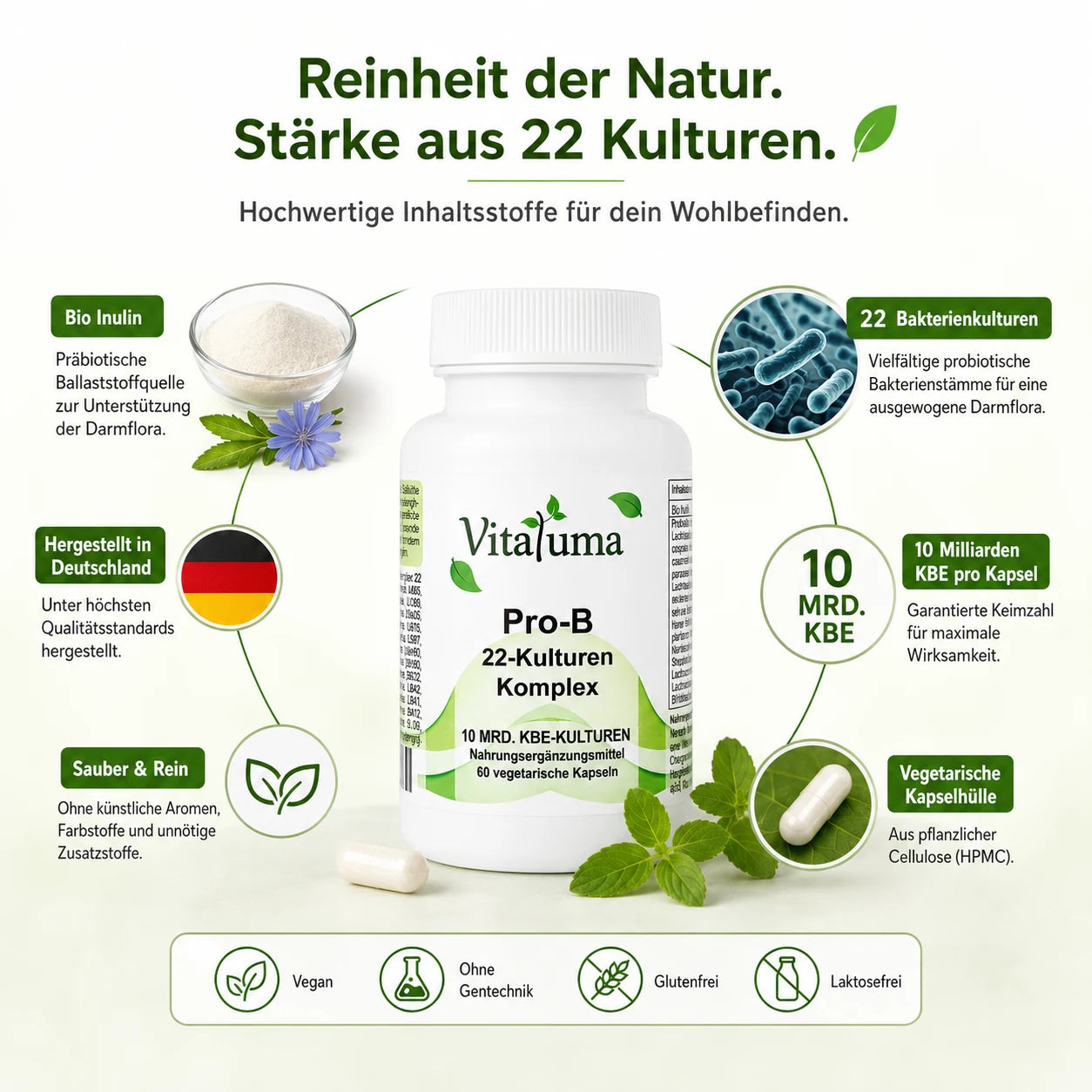 Vitaluma Pro-B 22-Kulturen Komplex mit Bio Inulin, 22 Bakterienkulturen und 10 Milliarden KBE pro Kapsel.