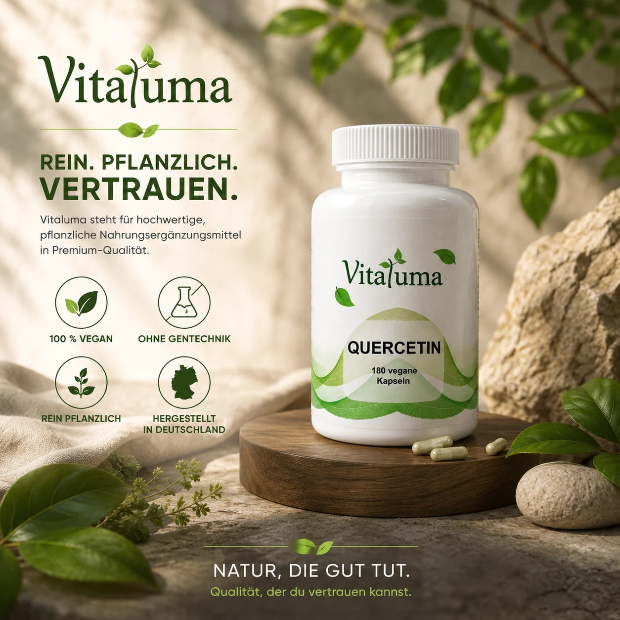 Vitaluma Quercetin Premium Nahrungsergänzung mit Schnurbaum-Blüten-Extrakt – natürliche Qualität aus Deutschland.