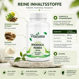 Vitaluma Rhodiola Rosea mit 650 mg Rosenwurz-Extrakt sowie 3 Prozent Rosavin und 1 Prozent Salidrosid pro Kapsel