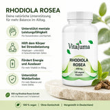 Vitaluma Rhodiola Rosea 650 mg mit Rosenwurz-Extrakt für Balance, Energie und mentale Leistungsfähigkeit im Alltag