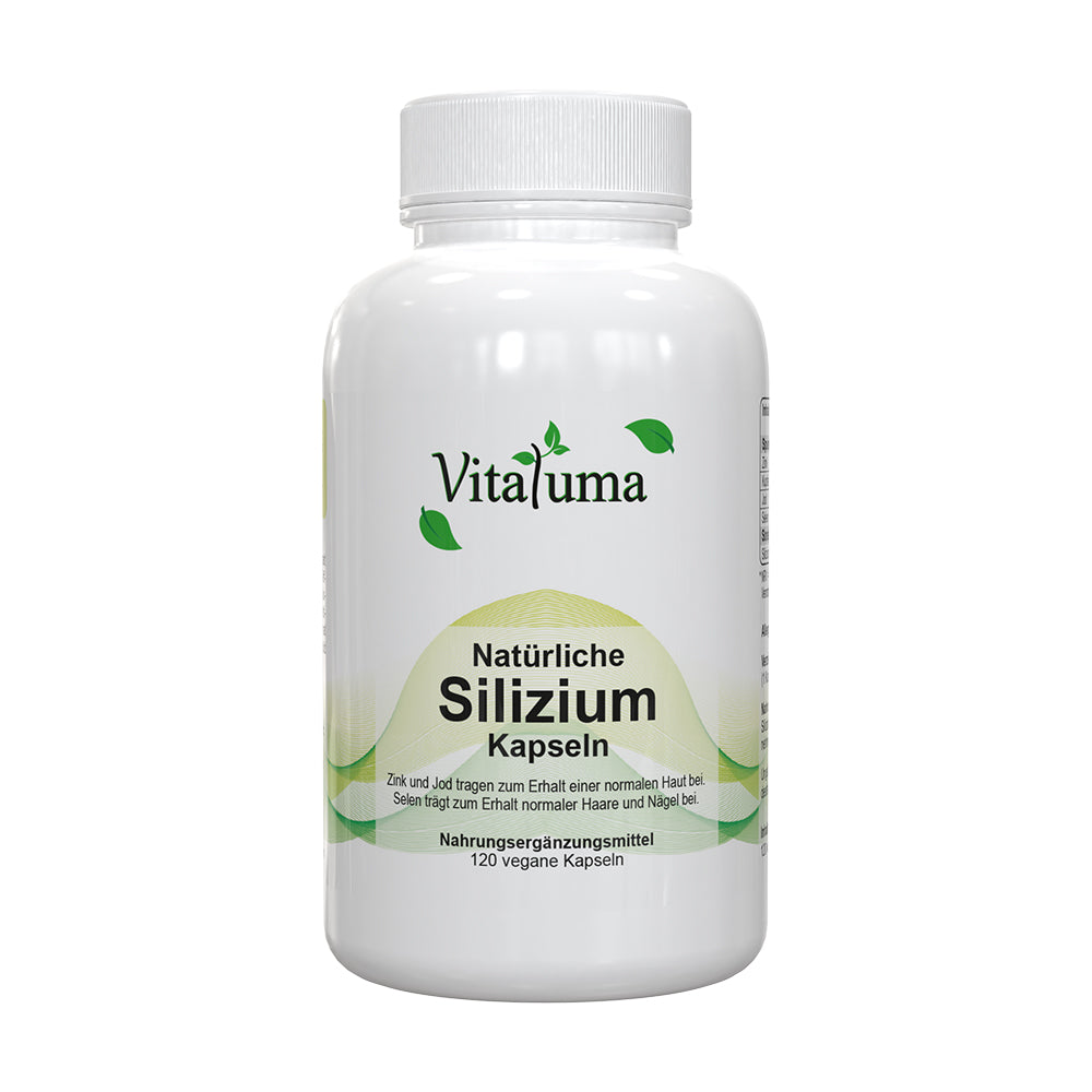 natürliches Silizium -120 Kapseln