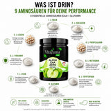 Alpha EAA Zero - 480g - Vitaluma®