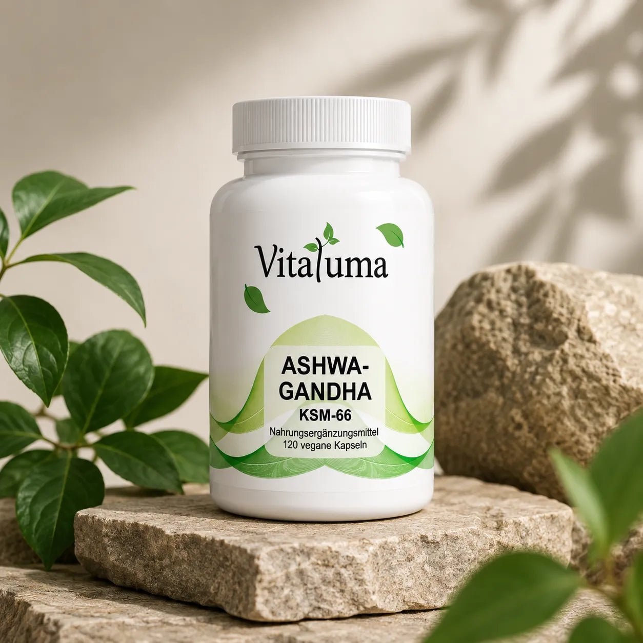 Ashwagandha - 120 Kapseln - Vitaluma®