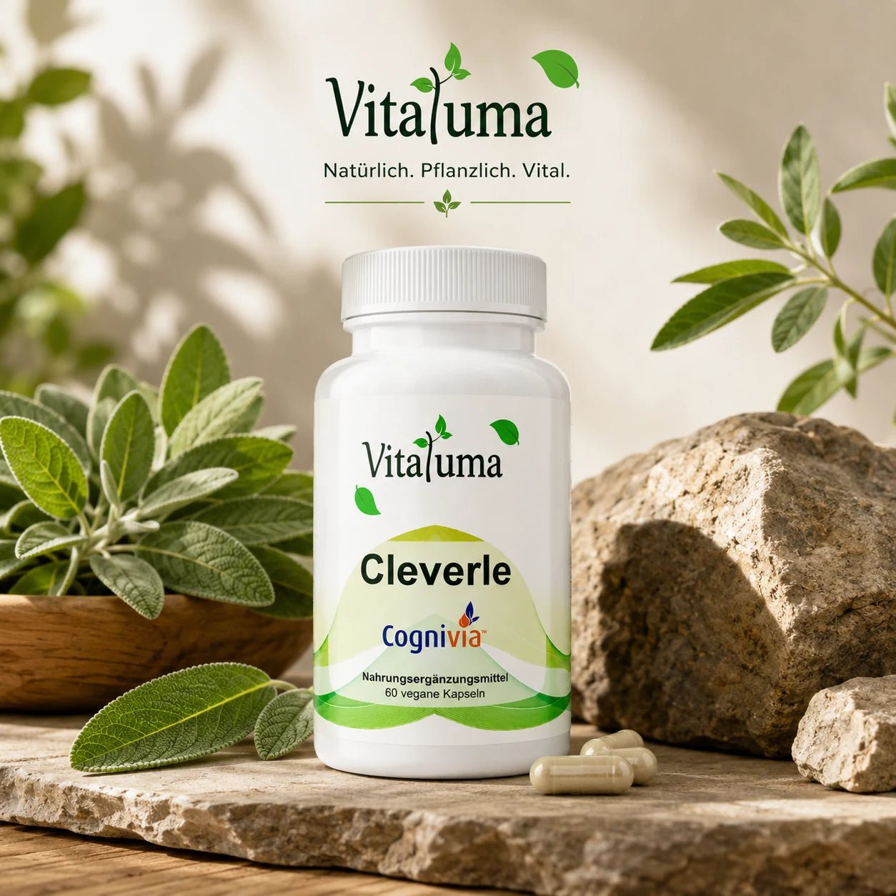 Cleverle mit Cognivia™- 60 vegane Kapseln - Vitaluma®