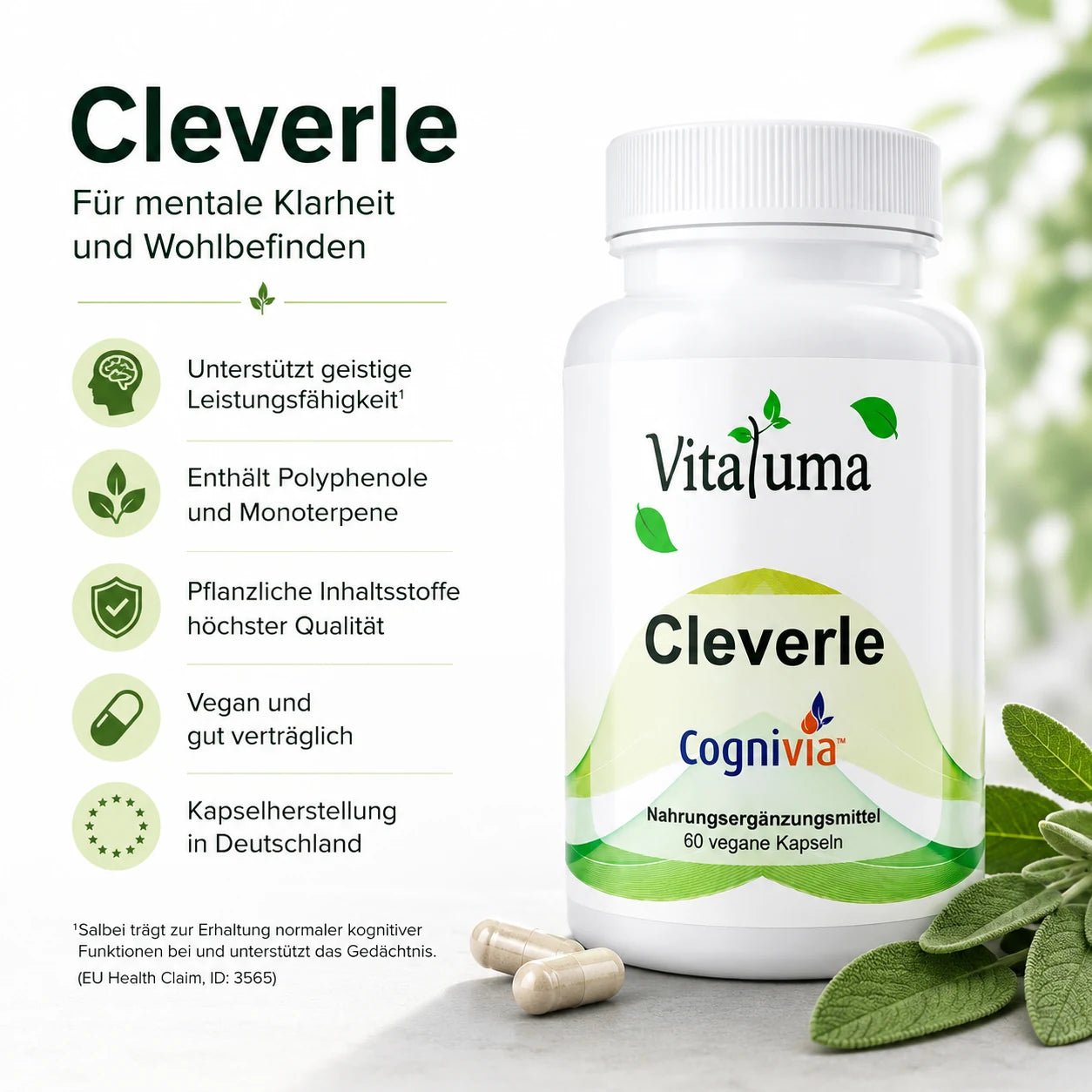 Cleverle mit Cognivia™- 60 vegane Kapseln - Vitaluma®