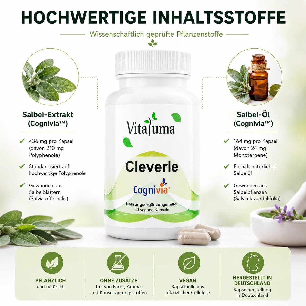 Cleverle mit Cognivia™- 60 vegane Kapseln - Vitaluma®