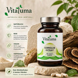 Coriolus Extrakt - 90 Kapseln - Vitaluma®
