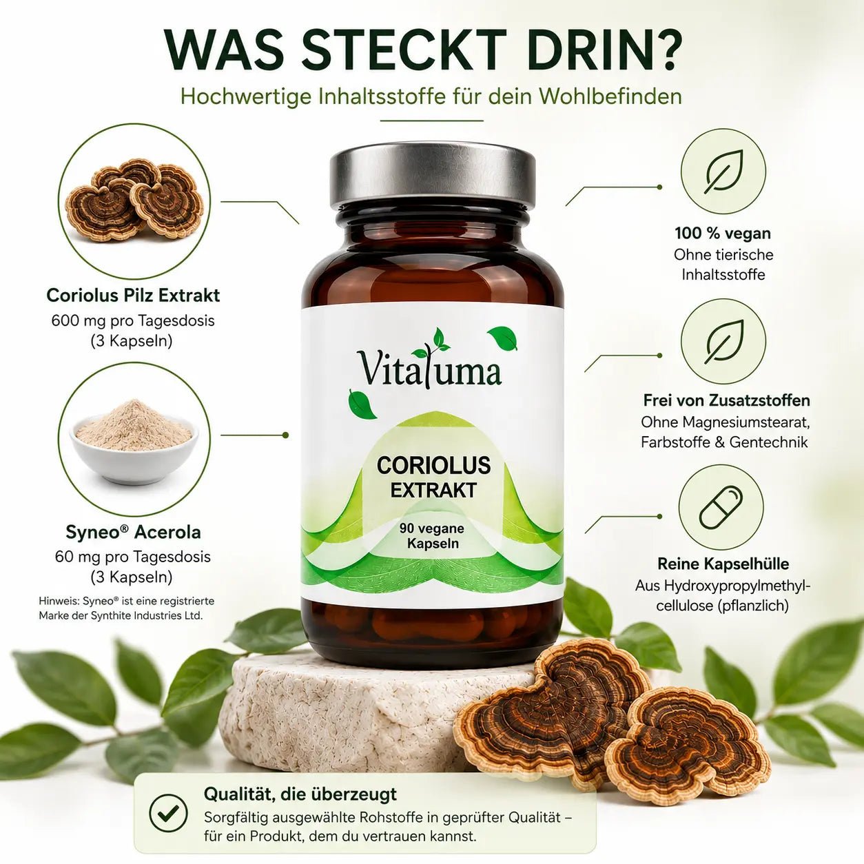 Coriolus Extrakt - 90 Kapseln - Vitaluma®