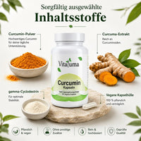 Curcumin-Kapseln mit CAVACURMIN® - 90 Kapseln - Vitaluma®