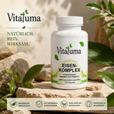 Eisenkomplex - 120 Kapseln - Vitaluma®