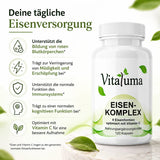 Eisenkomplex - 120 Kapseln - Vitaluma®