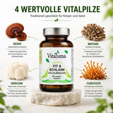 Fit + Schlank - 90 Kapseln - Vitaluma®