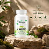 L-Carnitin - 120 Kapseln - Vitaluma®