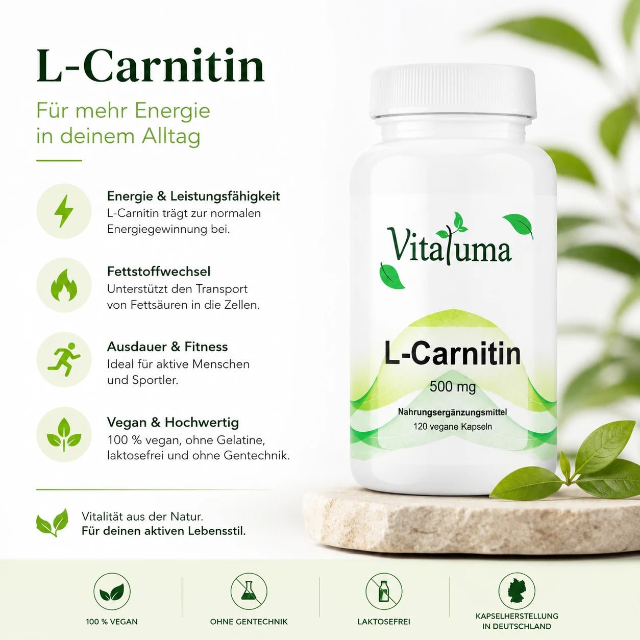 L-Carnitin - 120 Kapseln