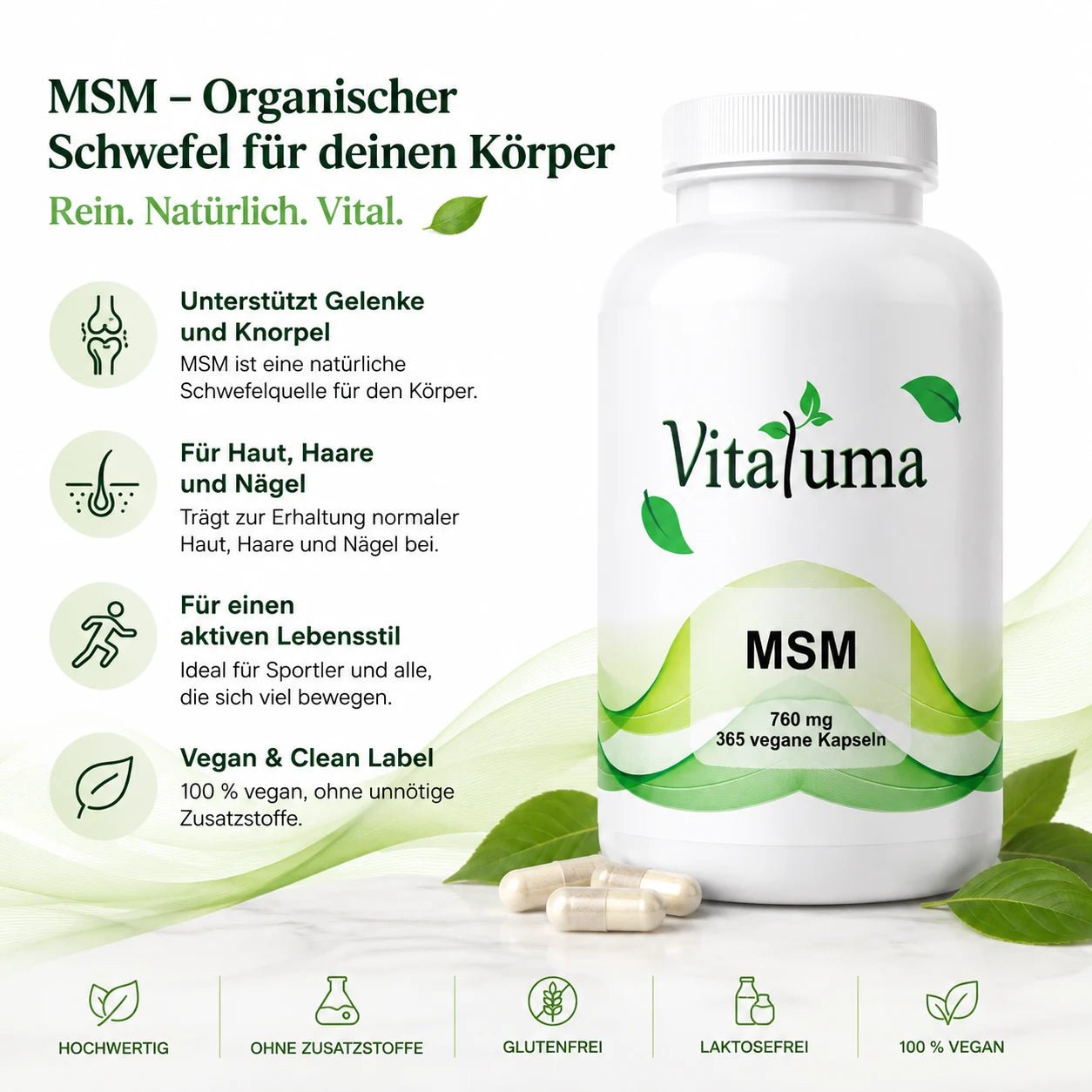 MSM - 365 Kapseln