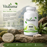 MSM - 365 Kapseln - Vitaluma®