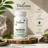 Nattokinase - 60 Kapseln - Vitaluma®