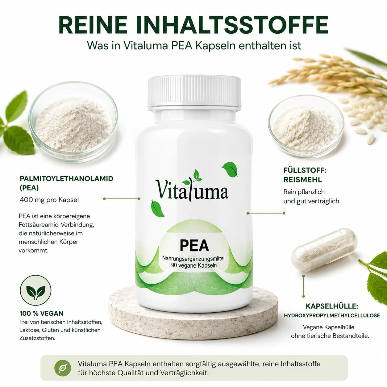 PEA - 90 Kapseln - Vitaluma®