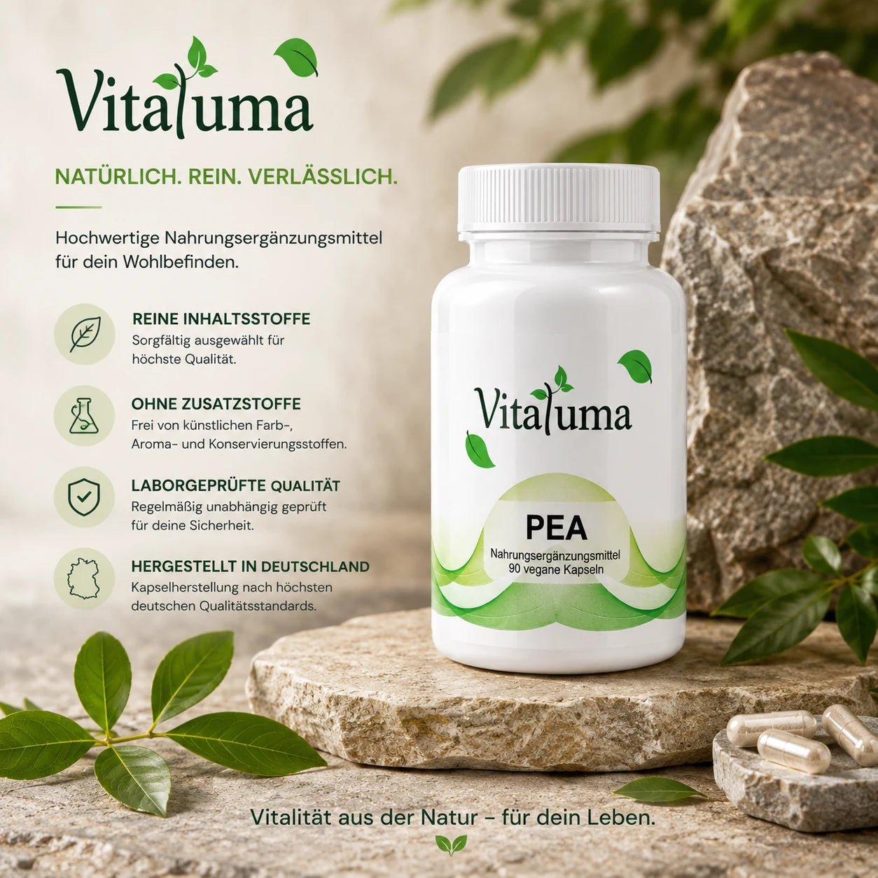 PEA - 90 Kapseln - Vitaluma®