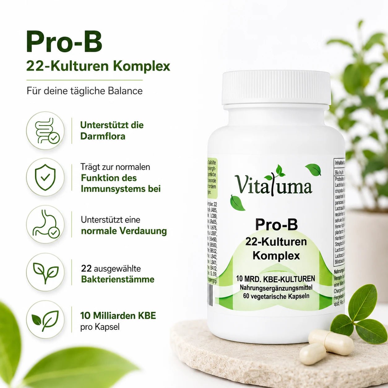 Pro B 22-Kulturen - 60 Kapseln