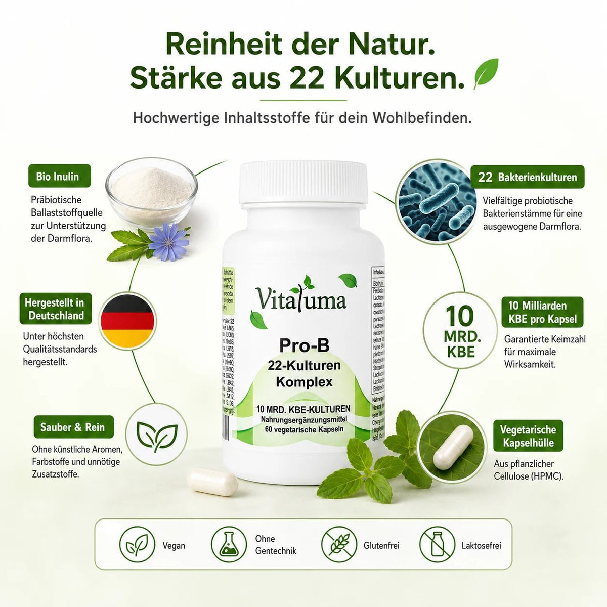 Pro B 22-Kulturen - 60 Kapseln - Vitaluma®