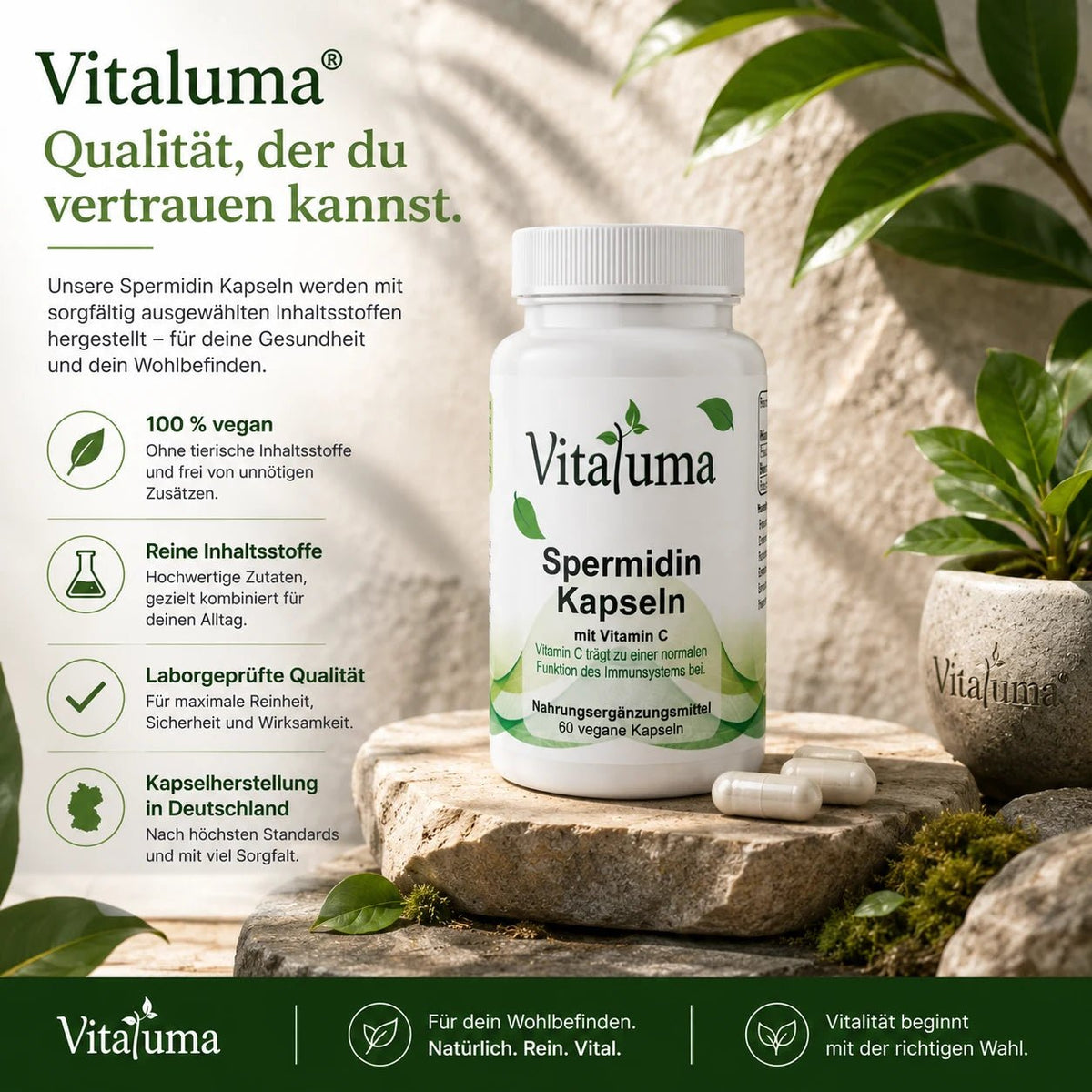 Spermidin - 60 Kapseln - Vitaluma®